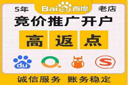 某电商平台的sem竞价推广托管经验